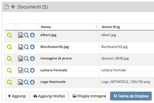 Gmoole Cloud CRM - Archivio file